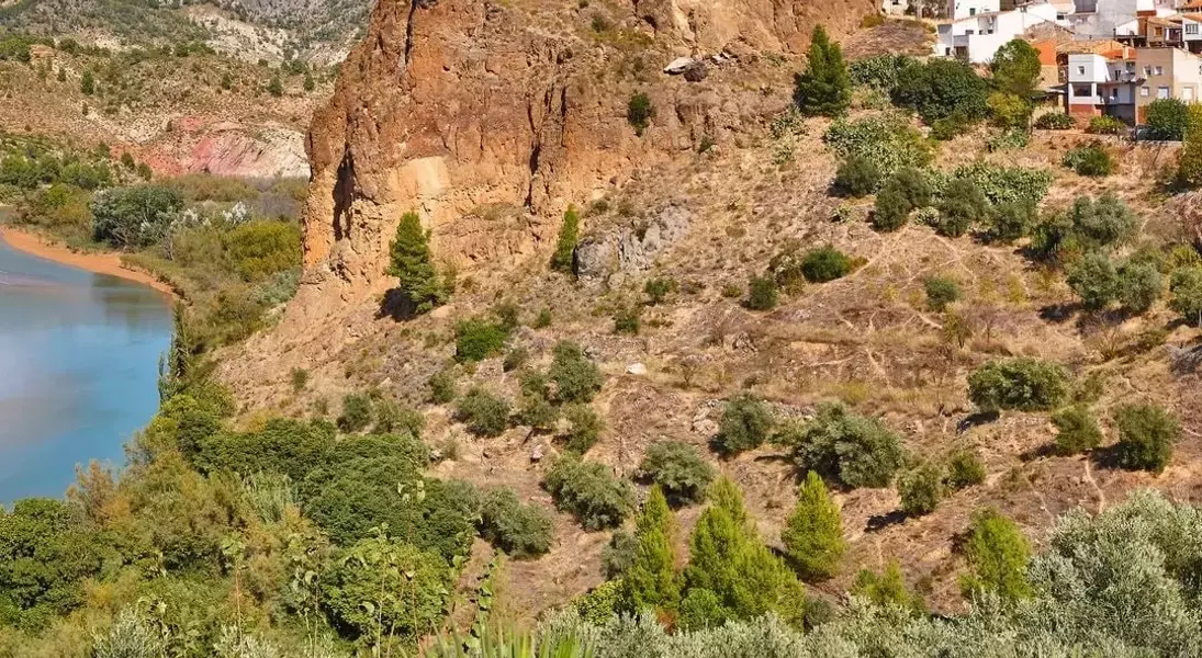 Slide 6