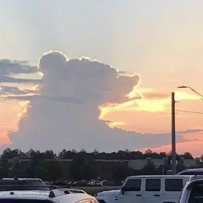 Single Slide