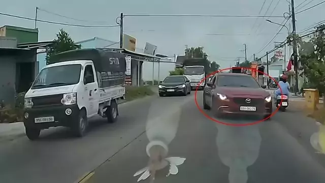 Single Slide