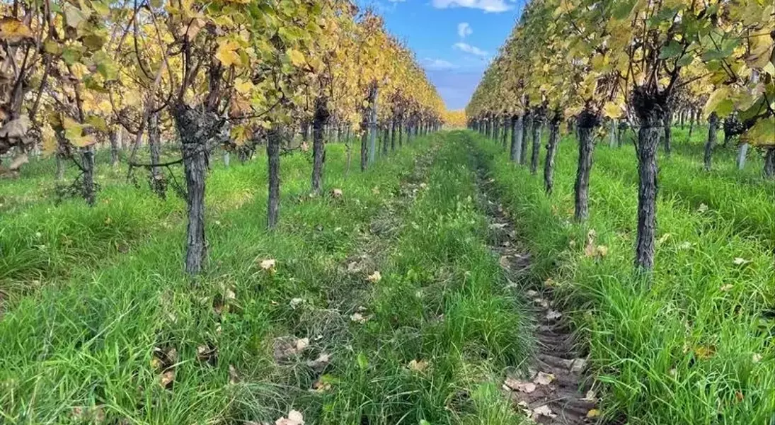 Single Slide