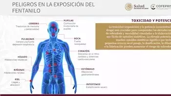 Slide 3