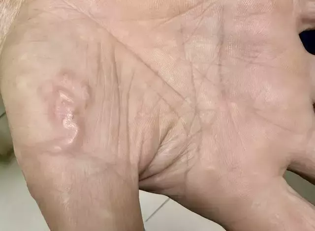 Single Slide