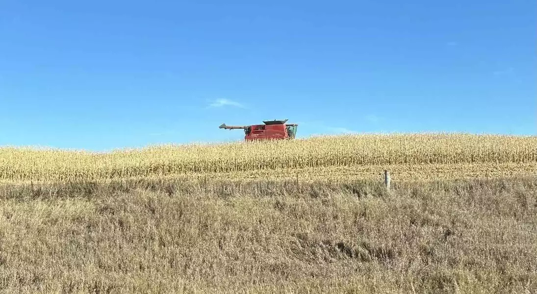 Single Slide
