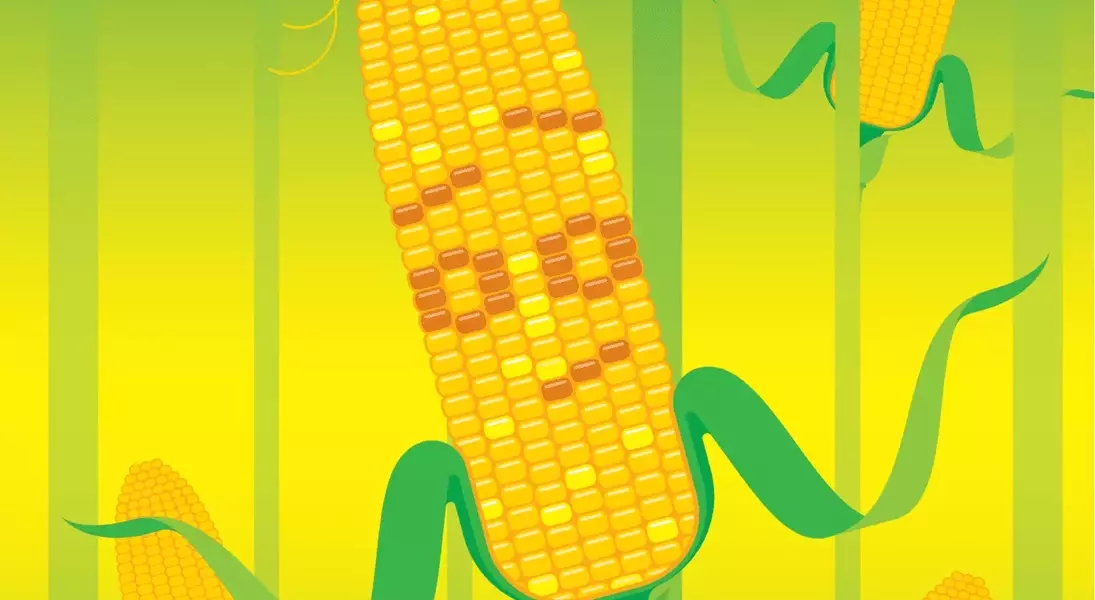Single Slide
