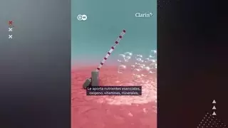 Single Slide