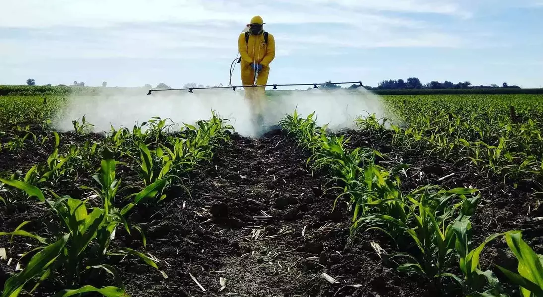 Single Slide