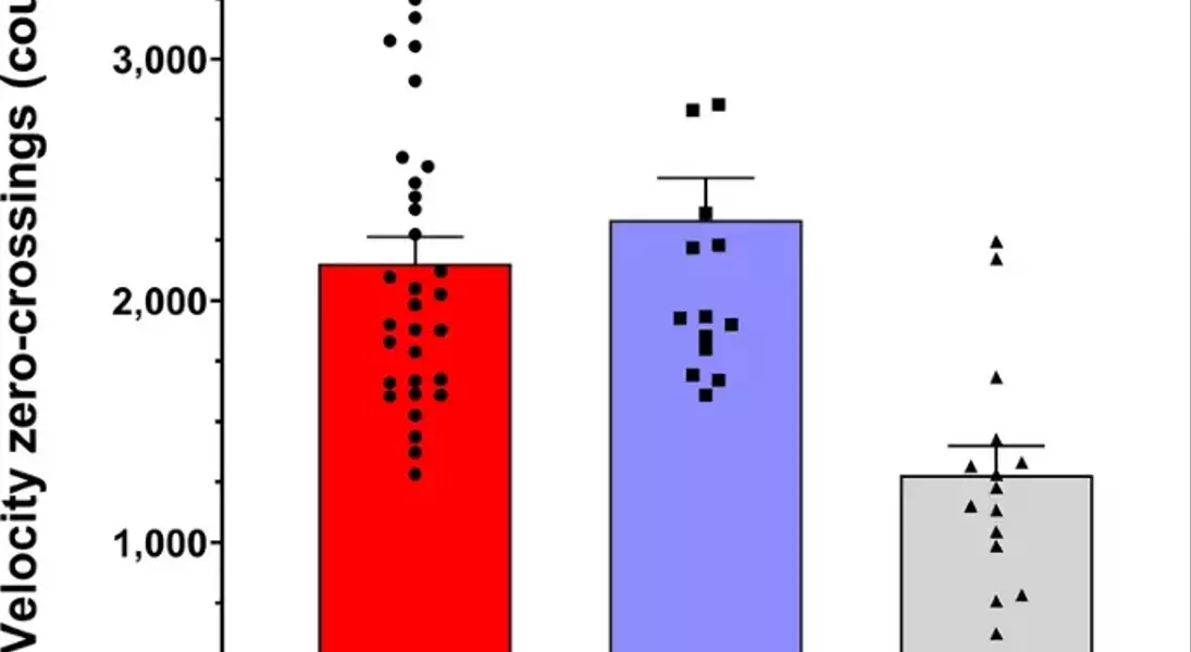 Slide 3
