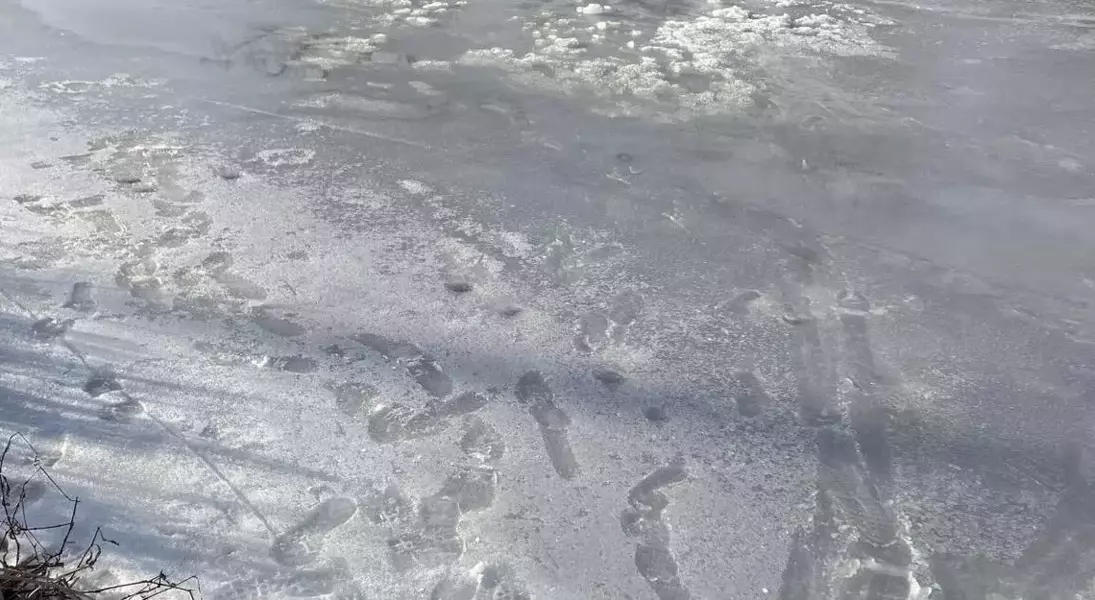 Single Slide