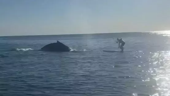 Single Slide