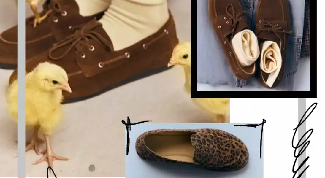 Slide 5