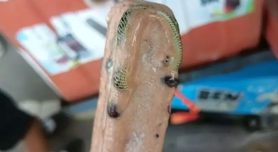 Single Slide