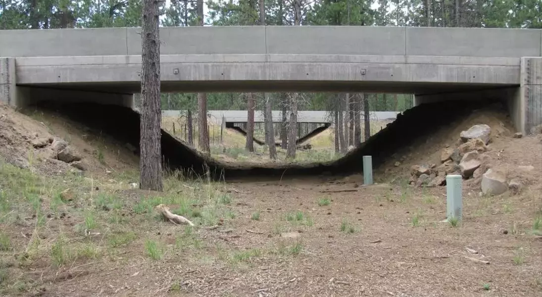 Single Slide