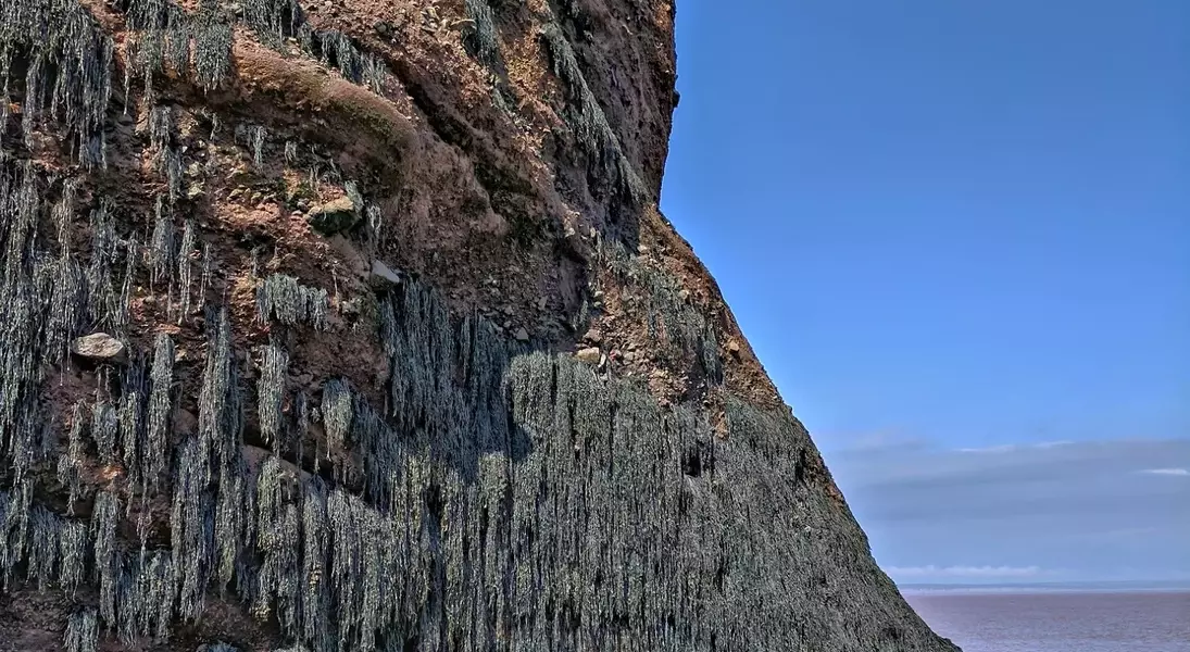 Slide 11