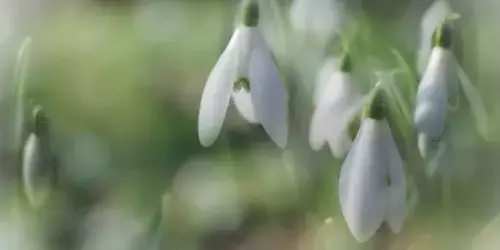 Single Slide