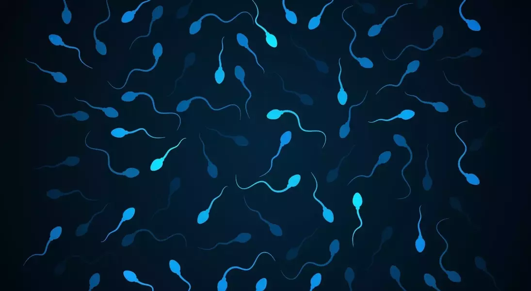 Single Slide