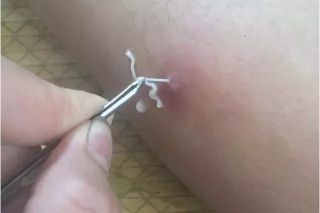Single Slide