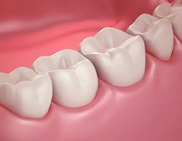 Single Slide
