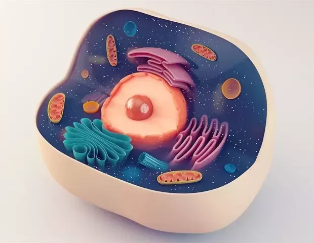 Single Slide