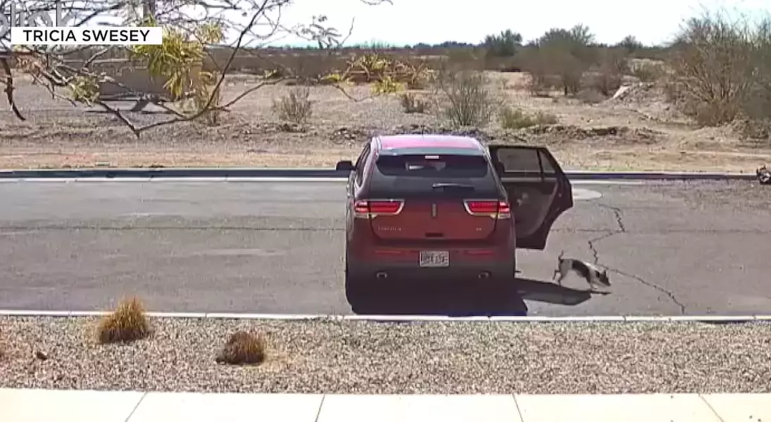 Single Slide