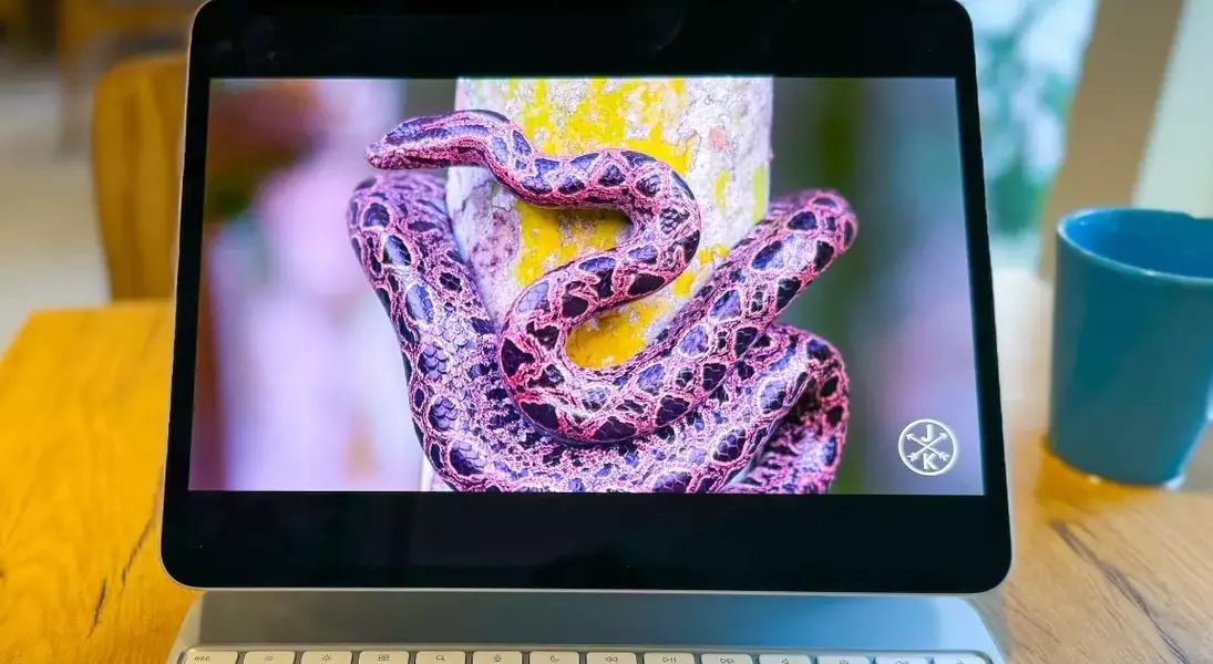 Single Slide