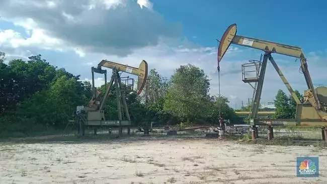 Single Slide