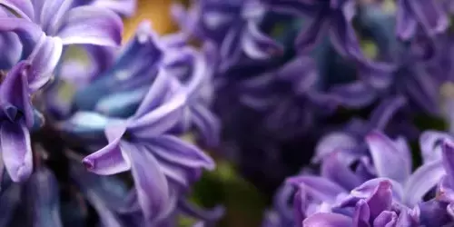 Single Slide