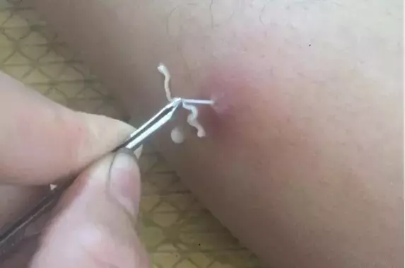 Single Slide