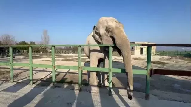 Single Slide