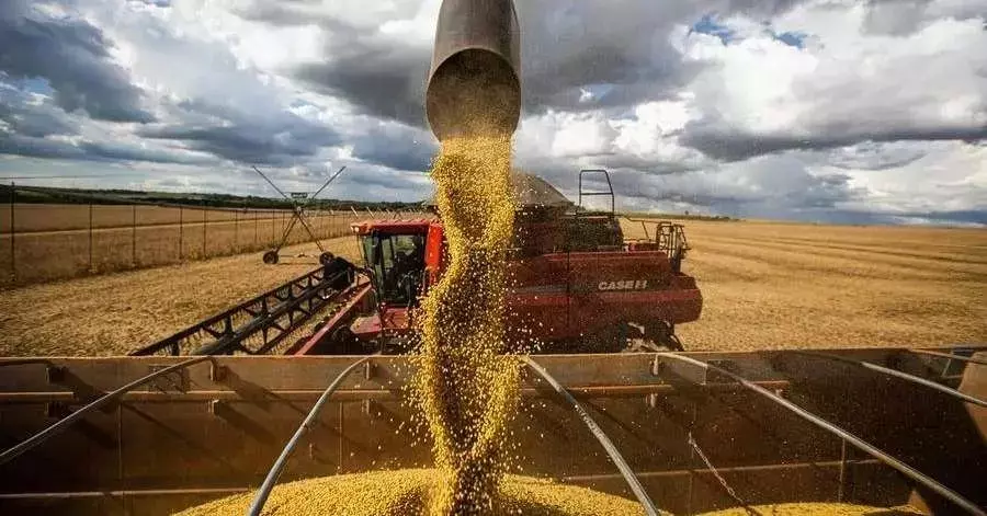 Single Slide