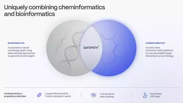 Slide 6