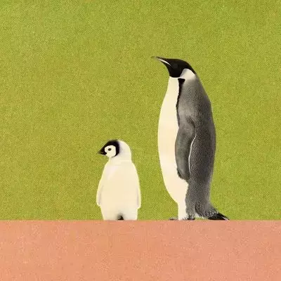 Single Slide
