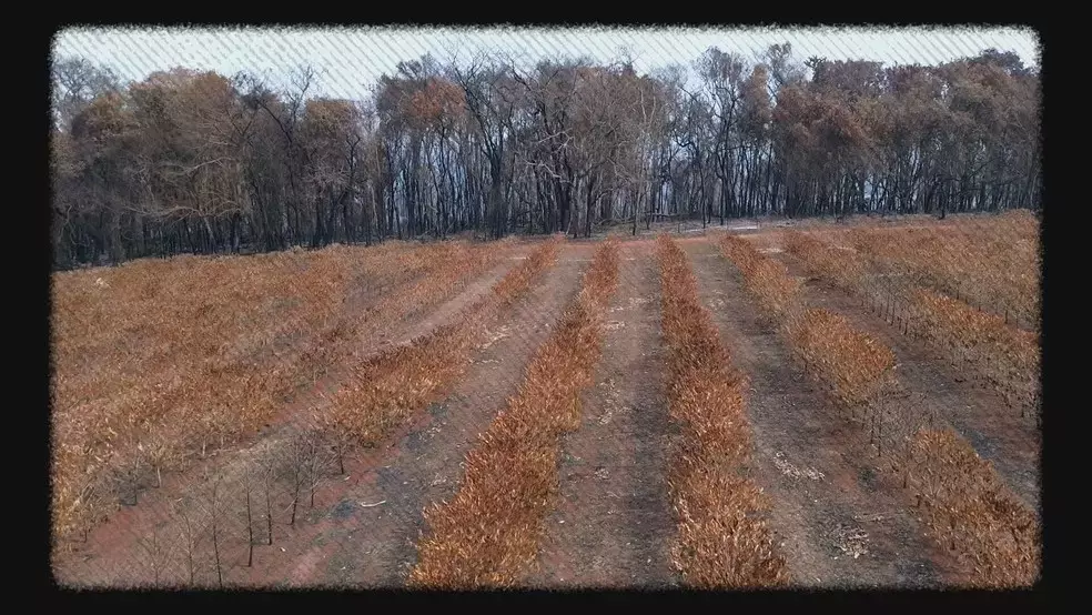 Slide 5