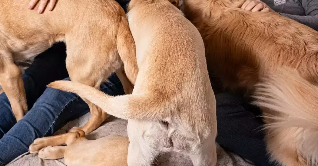Single Slide