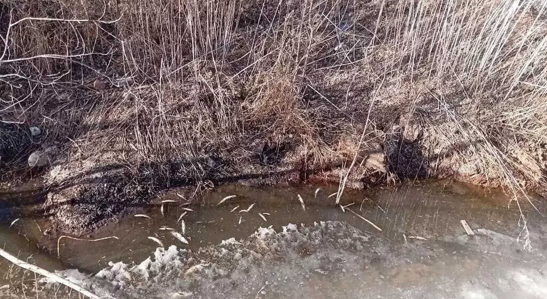 Single Slide