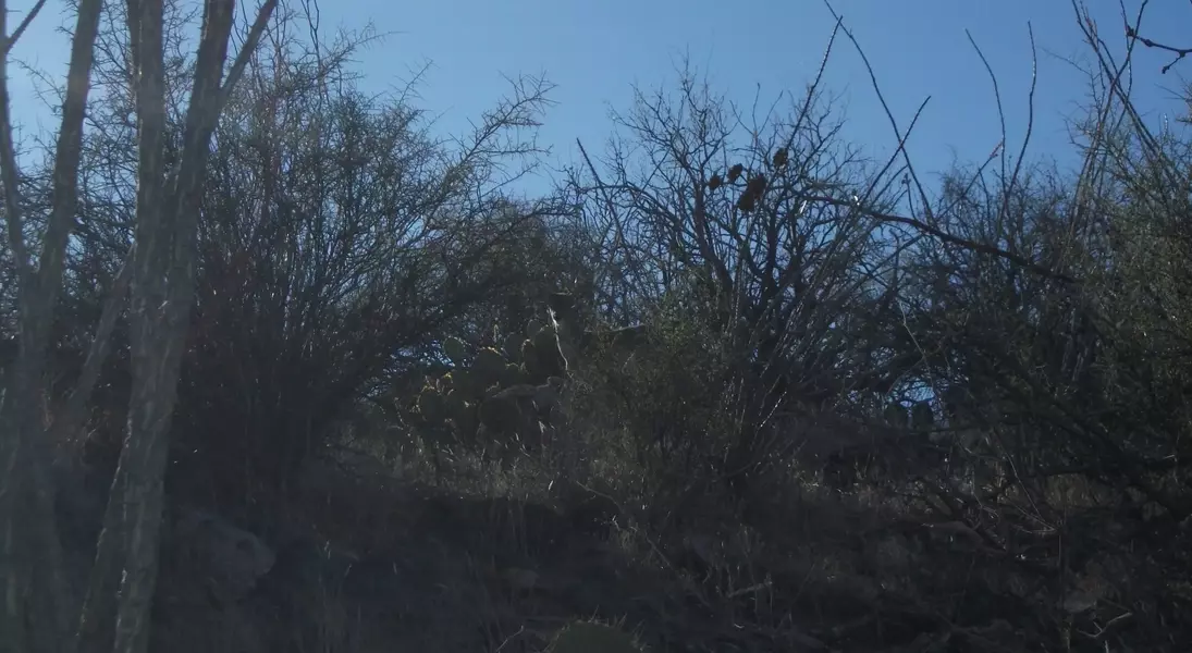Slide 8