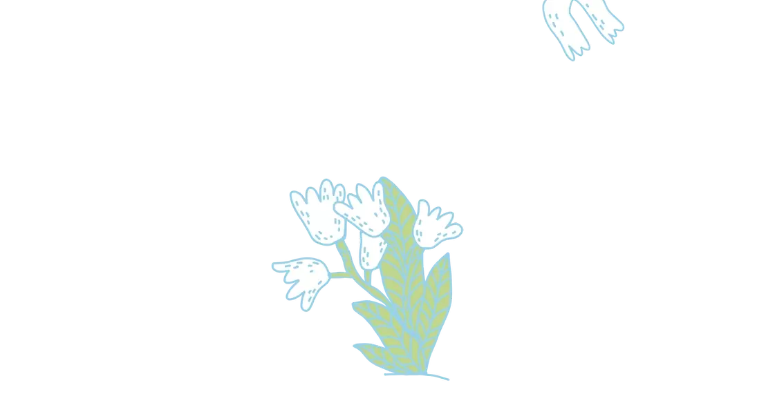 Slide 24