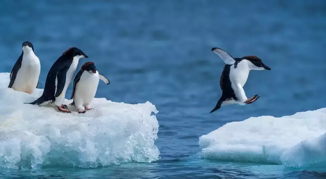 Single Slide
