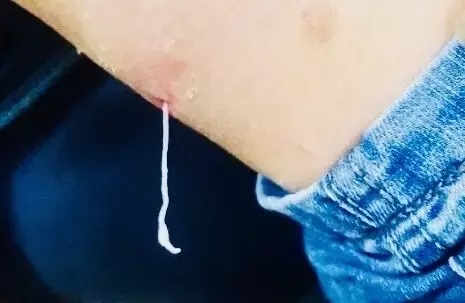 Single Slide