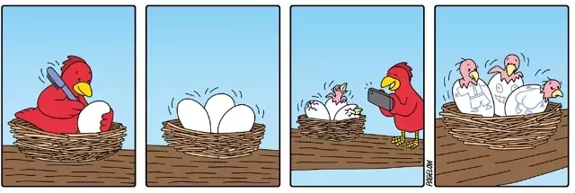 Single Slide