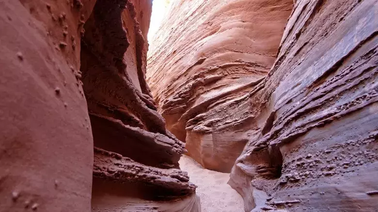 Slide 3