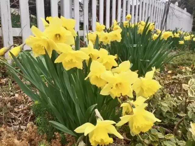 Single Slide
