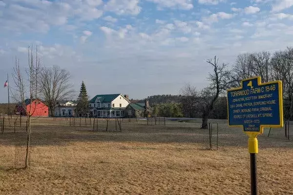 Single Slide