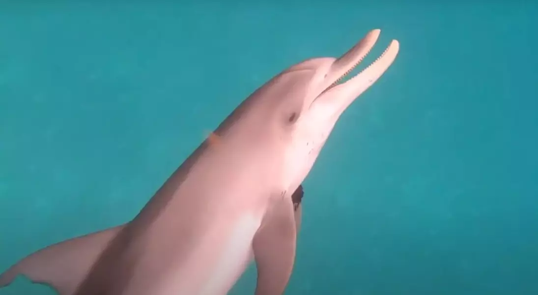 Single Slide