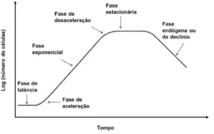Single Slide