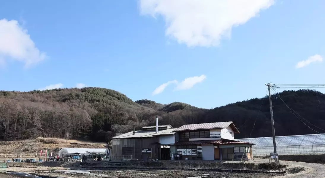 Slide 4