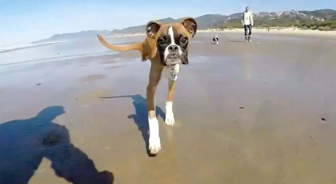 Single Slide