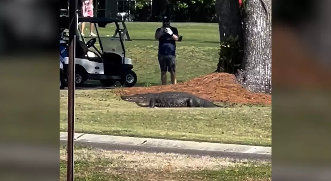 Single Slide