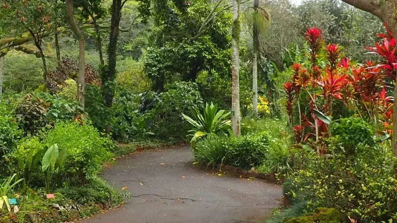 Slide 2