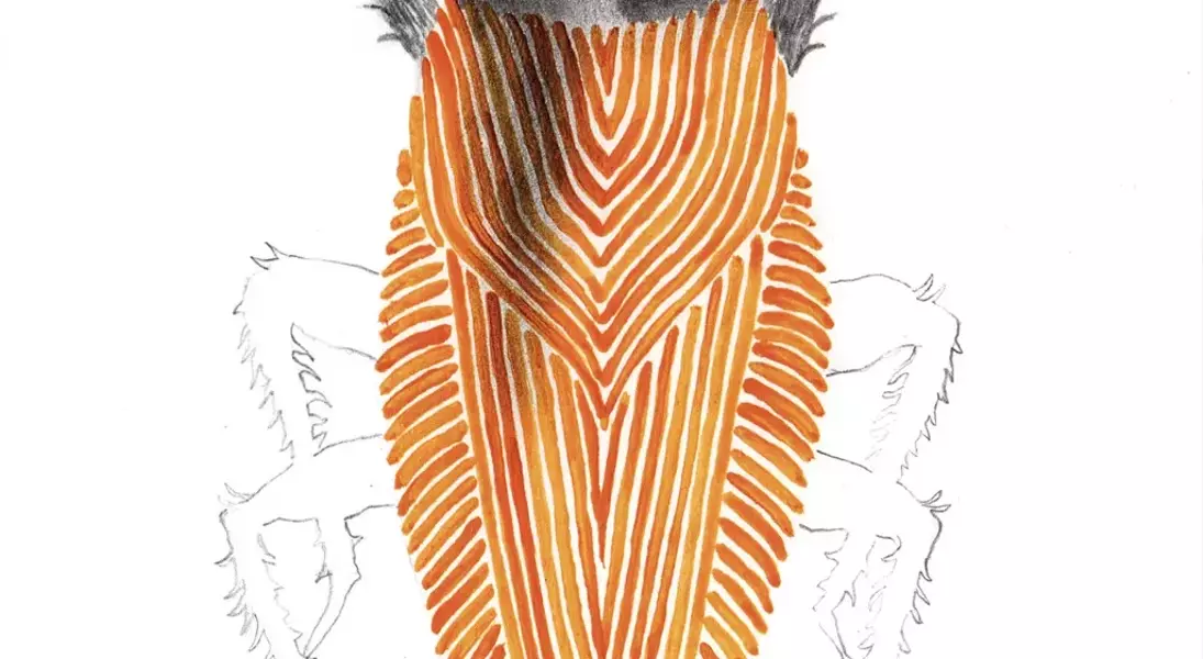 Slide 2