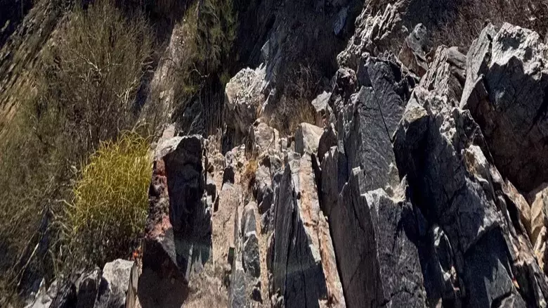 Slide 9
